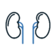 Nephrology